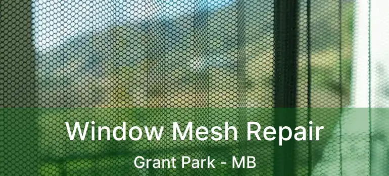  Window Mesh Repair Grant Park - MB