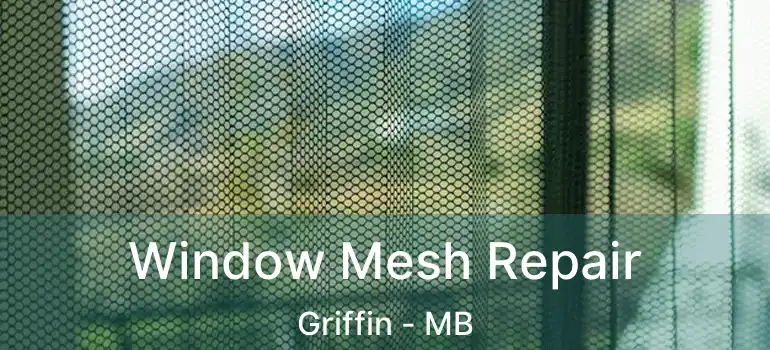  Window Mesh Repair Griffin - MB