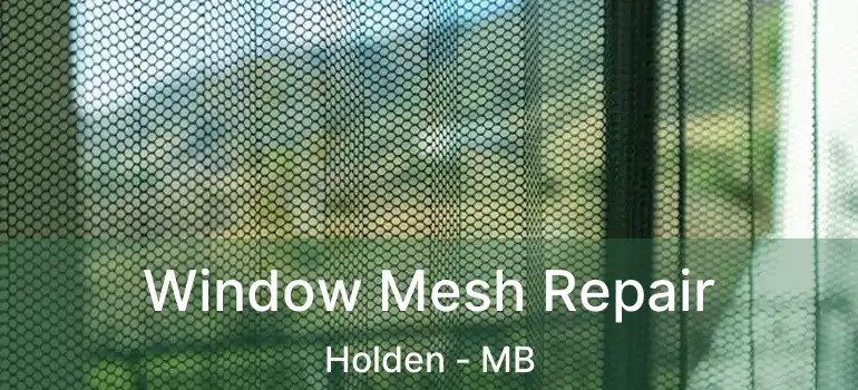  Window Mesh Repair Holden - MB