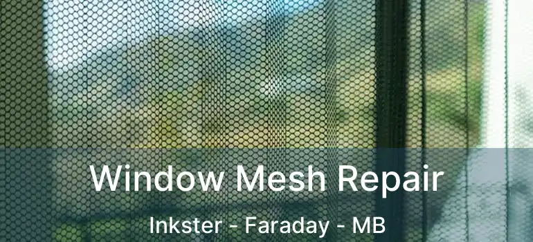  Window Mesh Repair Inkster - Faraday - MB