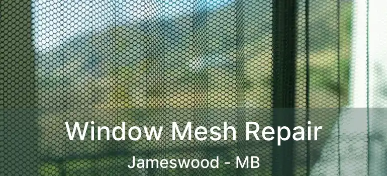  Window Mesh Repair Jameswood - MB