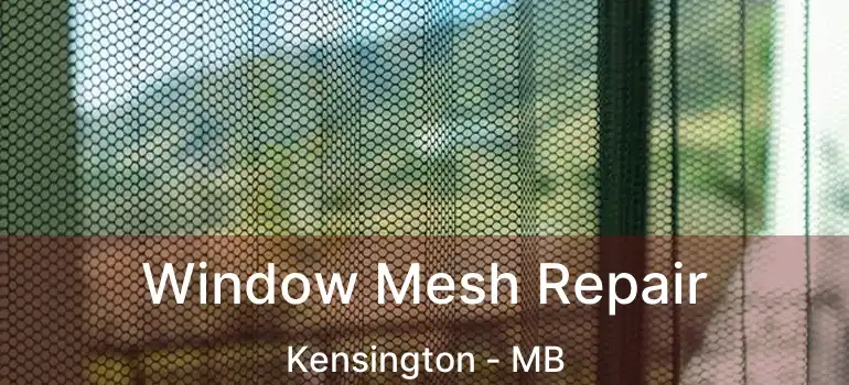  Window Mesh Repair Kensington - MB