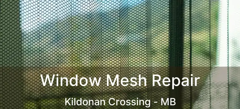  Window Mesh Repair Kildonan Crossing - MB