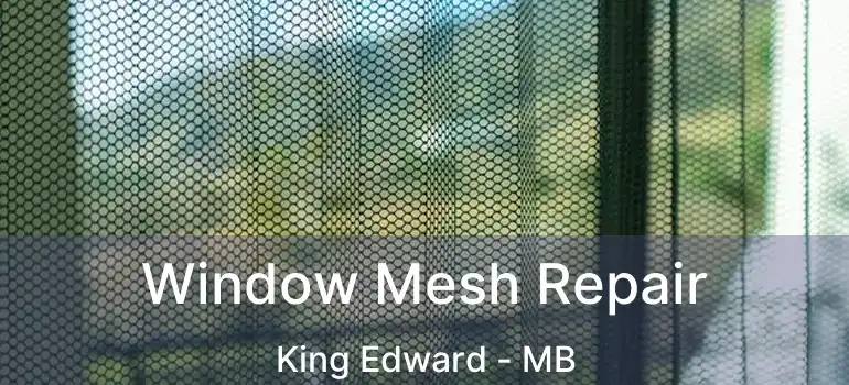  Window Mesh Repair King Edward - MB