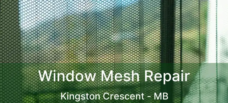  Window Mesh Repair Kingston Crescent - MB