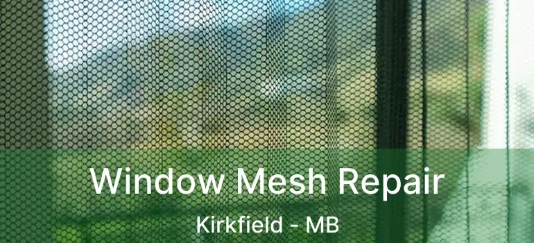  Window Mesh Repair Kirkfield - MB