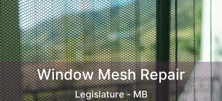  Window Mesh Repair Legislature - MB