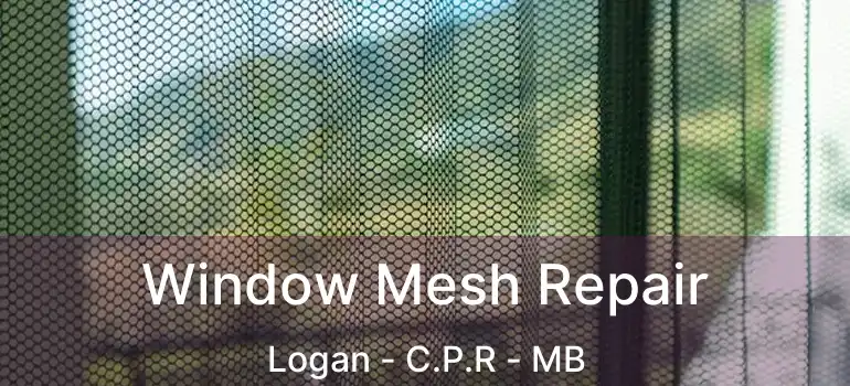  Window Mesh Repair Logan - C.P.R - MB