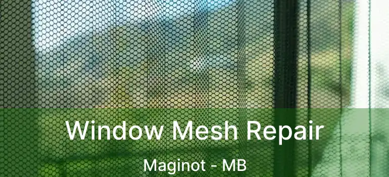  Window Mesh Repair Maginot - MB