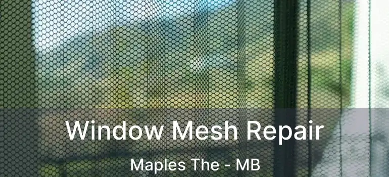  Window Mesh Repair Maples The - MB