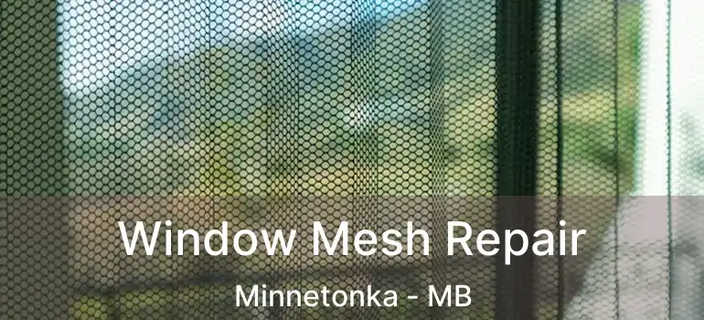  Window Mesh Repair Minnetonka - MB