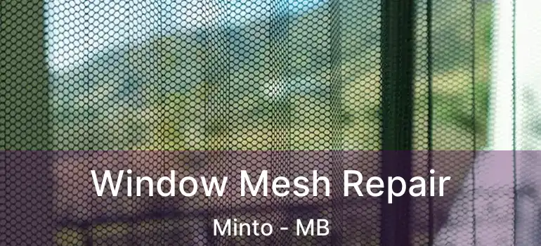  Window Mesh Repair Minto - MB