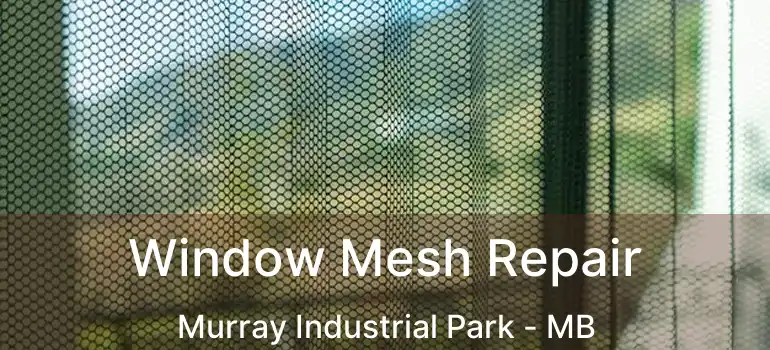  Window Mesh Repair Murray Industrial Park - MB