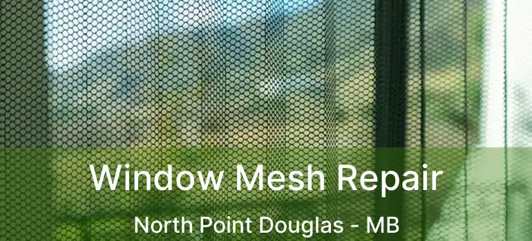  Window Mesh Repair North Point Douglas - MB