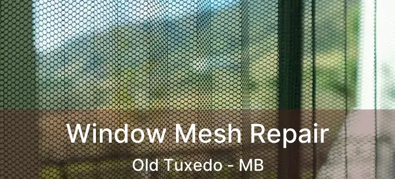  Window Mesh Repair Old Tuxedo - MB