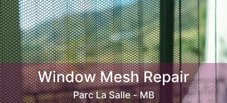  Window Mesh Repair Parc La Salle - MB