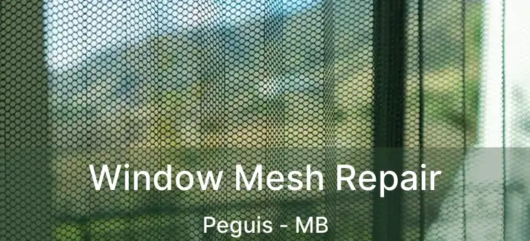  Window Mesh Repair Peguis - MB