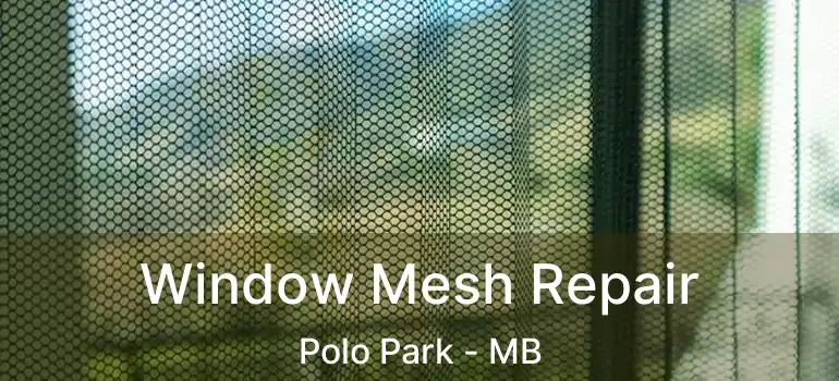  Window Mesh Repair Polo Park - MB