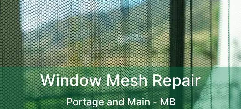  Window Mesh Repair Portage and Main - MB