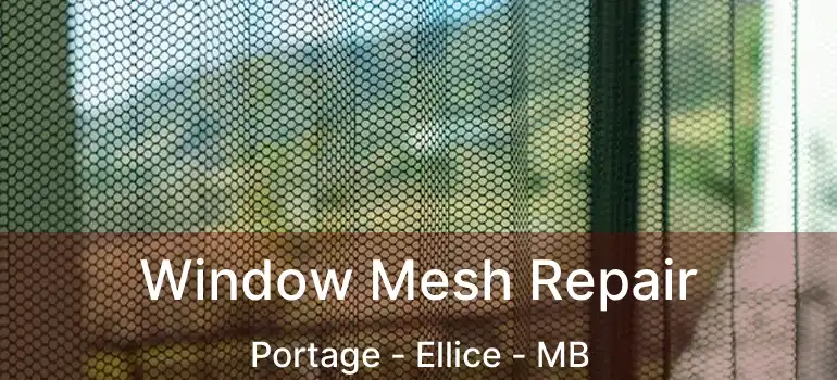  Window Mesh Repair Portage - Ellice - MB
