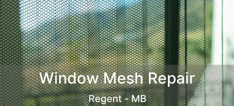 Window Mesh Repair Regent - MB