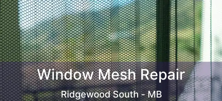  Window Mesh Repair Ridgewood South - MB
