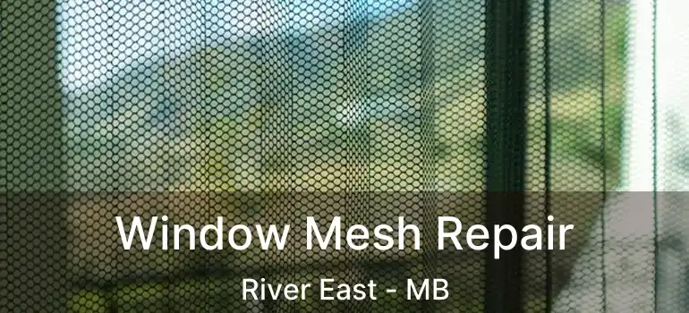  Window Mesh Repair River East - MB