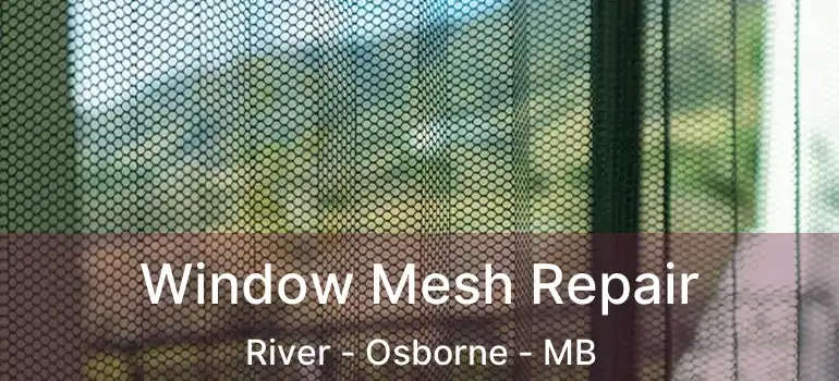  Window Mesh Repair River - Osborne - MB