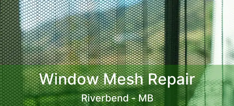  Window Mesh Repair Riverbend - MB