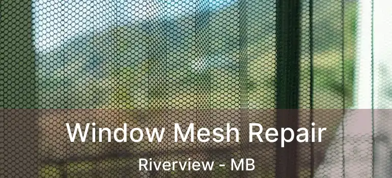  Window Mesh Repair Riverview - MB