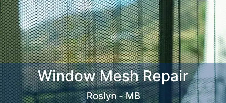  Window Mesh Repair Roslyn - MB