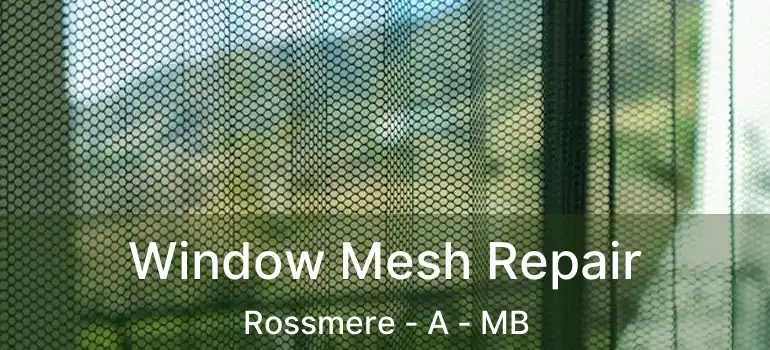  Window Mesh Repair Rossmere - A - MB
