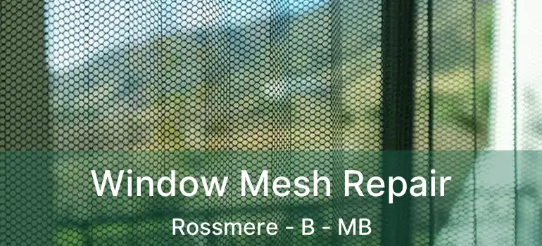  Window Mesh Repair Rossmere - B - MB