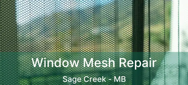  Window Mesh Repair Sage Creek - MB