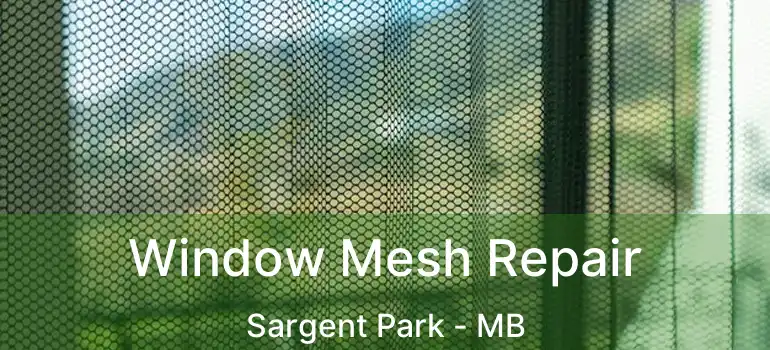  Window Mesh Repair Sargent Park - MB