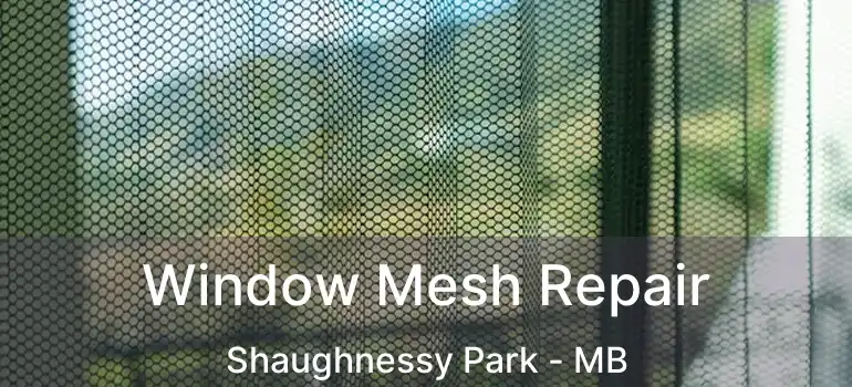  Window Mesh Repair Shaughnessy Park - MB