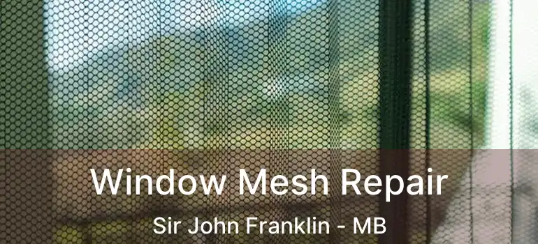  Window Mesh Repair Sir John Franklin - MB