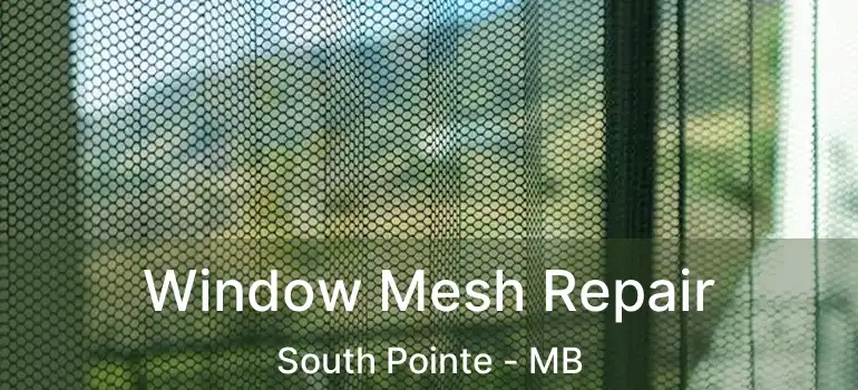  Window Mesh Repair South Pointe - MB
