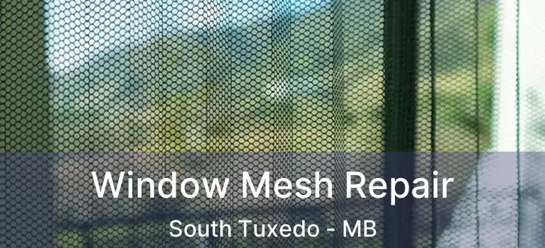 Window Mesh Repair South Tuxedo - MB