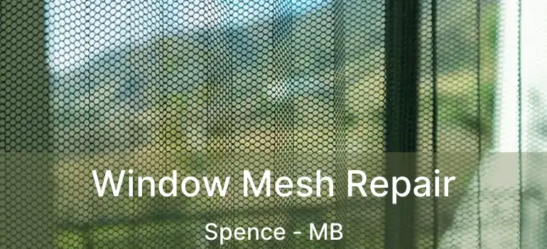  Window Mesh Repair Spence - MB