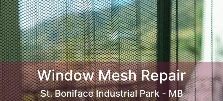  Window Mesh Repair St. Boniface Industrial Park - MB