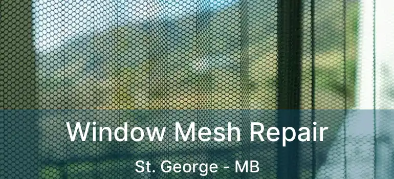  Window Mesh Repair St. George - MB