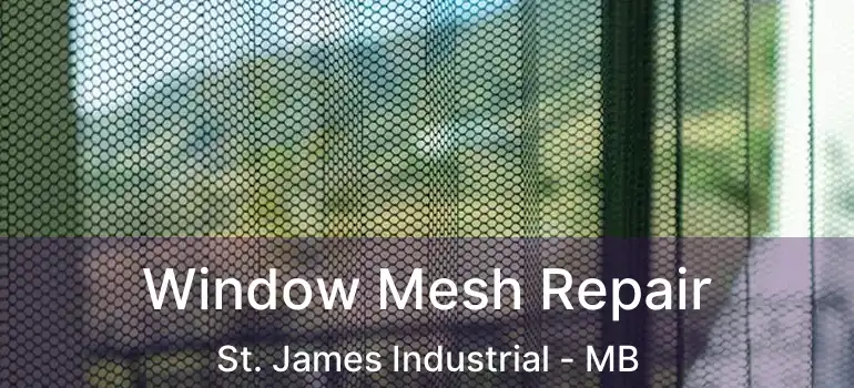  Window Mesh Repair St. James Industrial - MB