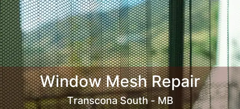 Window Mesh Repair Transcona South - MB