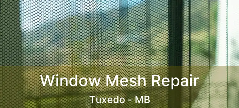  Window Mesh Repair Tuxedo - MB