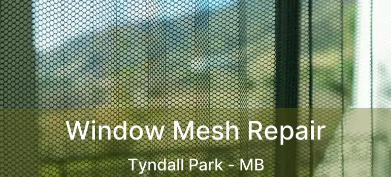  Window Mesh Repair Tyndall Park - MB