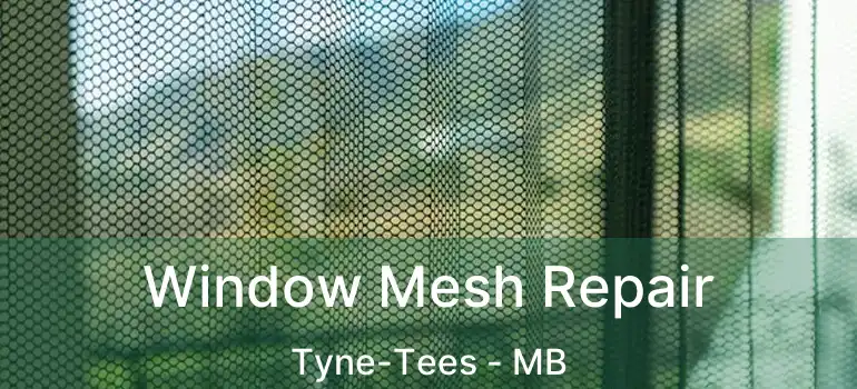  Window Mesh Repair Tyne-Tees - MB
