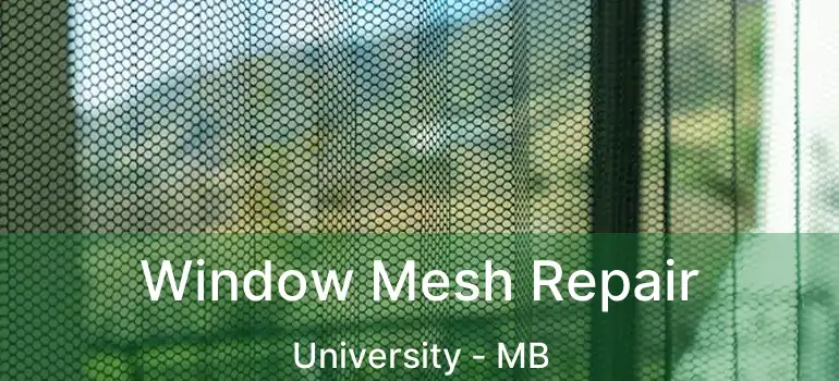  Window Mesh Repair University - MB