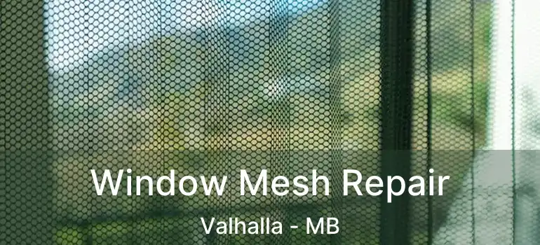  Window Mesh Repair Valhalla - MB