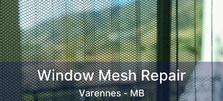  Window Mesh Repair Varennes - MB